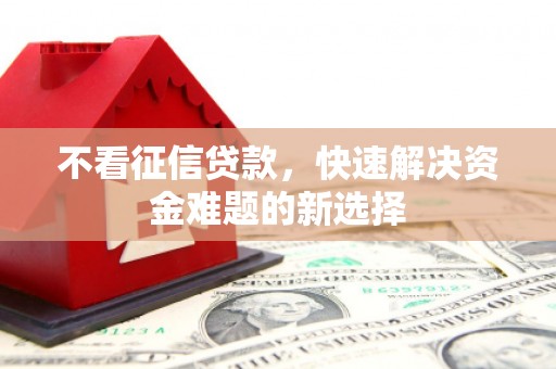 新园不看征信贷款，快速解决资金难题的新选择