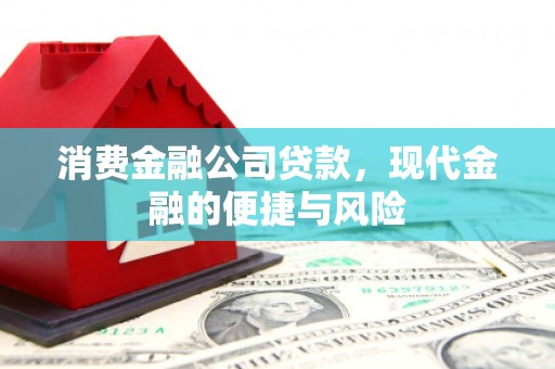 新园消费金融公司贷款，现代金融的便捷与风险