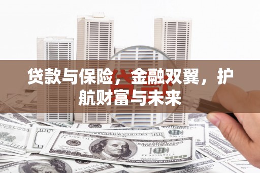 新园贷款与保险，金融双翼，护航财富与未来