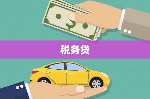 新园税务贷