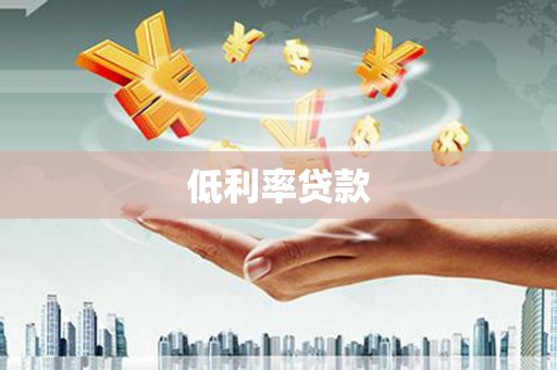 新园低利率贷款