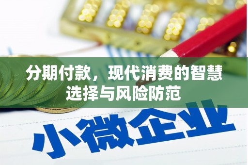 新园分期付款，现代消费的智慧选择与风险防范