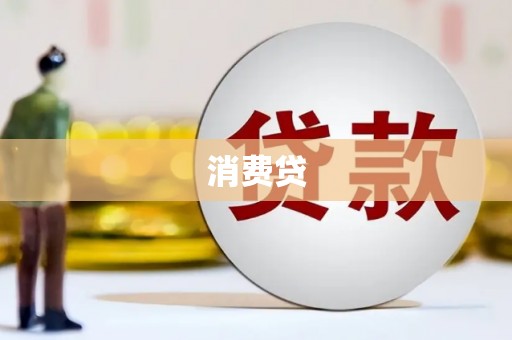 新园消费贷