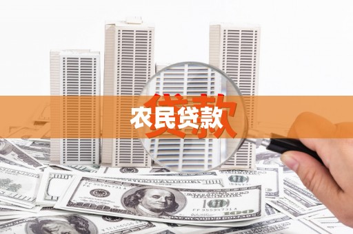 新园农民贷款