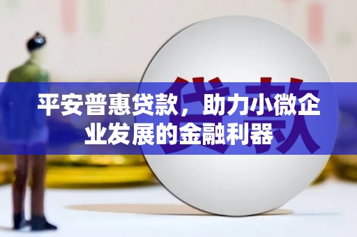 新园平安普惠贷款，助力小微企业发展的金融利器