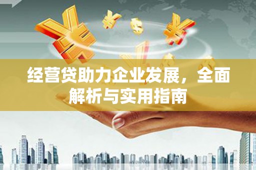 新园经营贷助力企业发展，全面解析与实用指南