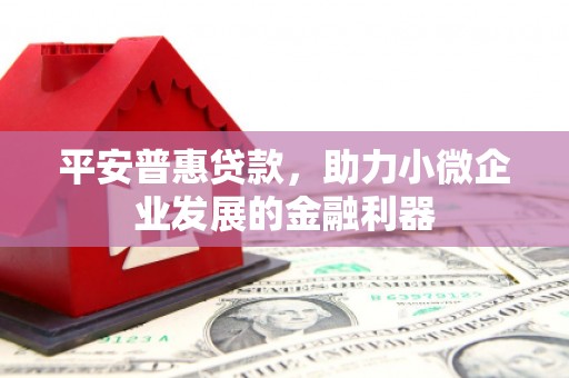 新园平安普惠贷款，助力小微企业发展的金融利器