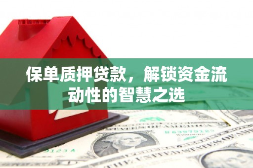 新园保单质押贷款，解锁资金流动性的智慧之选