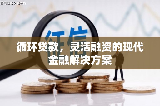新园循环贷款，灵活融资的现代金融解决方案