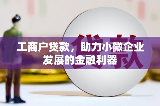 新园工商户贷款，助力小微企业发展的金融利器