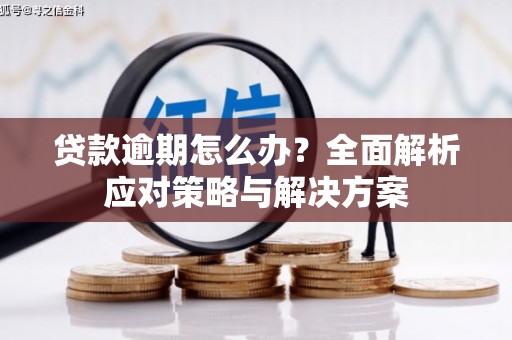 新园贷款逾期怎么办？全面解析应对策略与解决方案