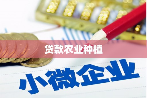 新园贷款农业种植