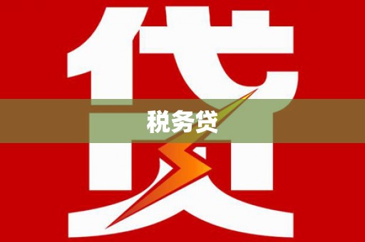 新园税务贷