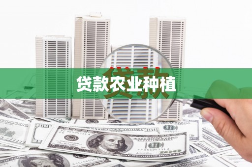 新园贷款农业种植