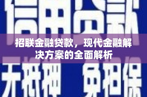 新园招联金融贷款，现代金融解决方案的全面解析
