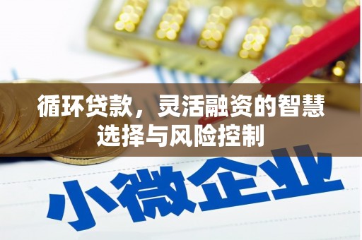 新园循环贷款，灵活融资的智慧选择与风险控制