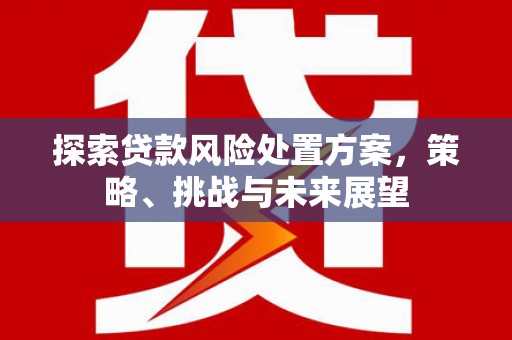 新园探索贷款风险处置方案，策略、挑战与未来展望