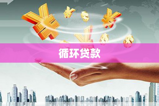 新园循环贷款