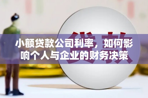 新园小额贷款公司利率，如何影响个人与企业的财务决策