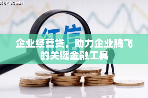 新园企业经营贷，助力企业腾飞的关键金融工具
