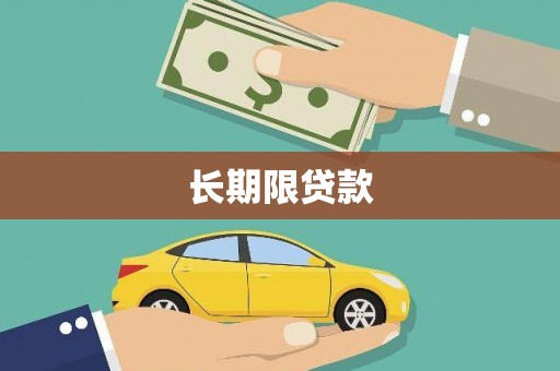 新园长期限贷款