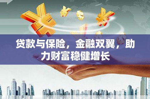 新园贷款与保险，金融双翼，助力财富稳健增长
