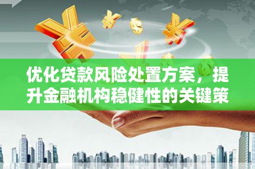 新园优化贷款风险处置方案，提升金融机构稳健性的关键策略