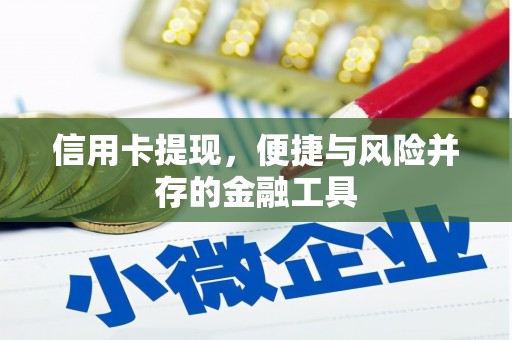 新园信用卡提现，便捷与风险并存的金融工具