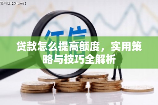 新园贷款怎么提高额度，实用策略与技巧全解析