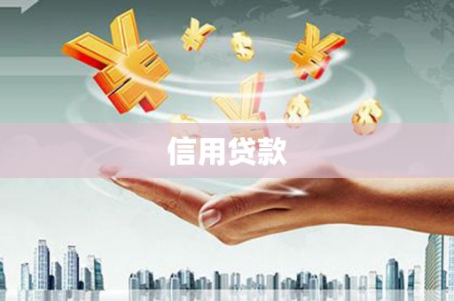 新园信用贷款