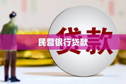 新园民营银行贷款