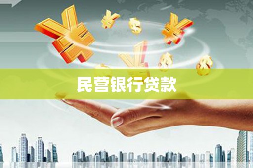 新园民营银行贷款