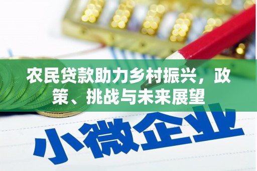 新园农民贷款助力乡村振兴，政策、挑战与未来展望