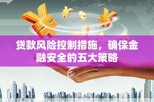 新园贷款风险控制措施，确保金融安全的五大策略