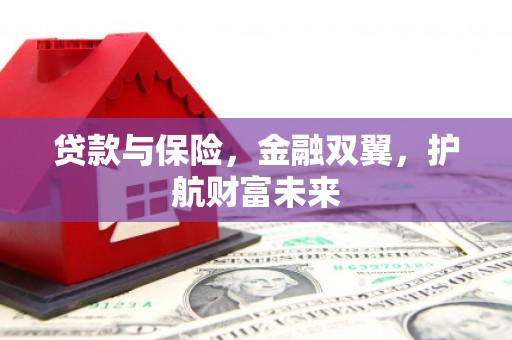 新园贷款与保险，金融双翼，护航财富未来