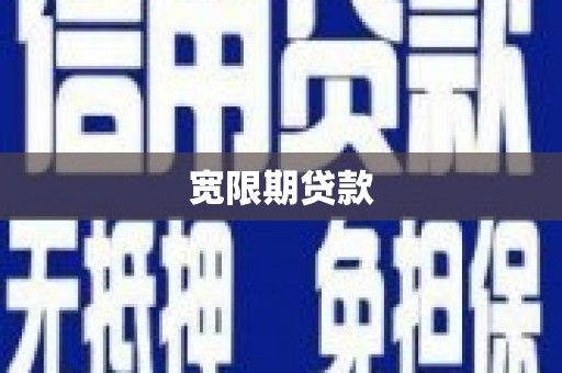 新园宽限期贷款