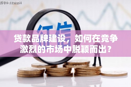 新园贷款品牌建设，如何在竞争激烈的市场中脱颖而出？