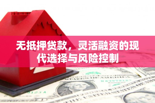 新园无抵押贷款，灵活融资的现代选择与风险控制