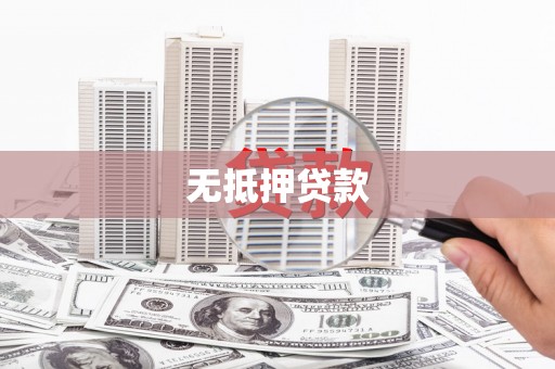 新园无抵押贷款