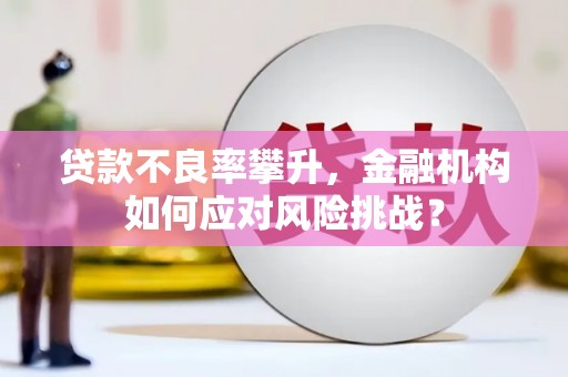 新园贷款不良率攀升，金融机构如何应对风险挑战？
