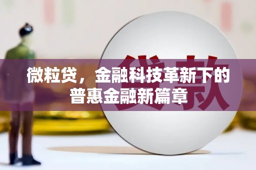 新园微粒贷，金融科技革新下的普惠金融新篇章