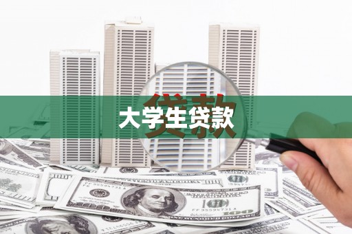 新园大学生贷款
