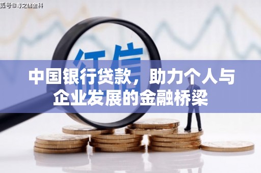 新园中国银行贷款，助力个人与企业发展的金融桥梁