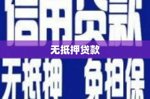 新园无抵押贷款