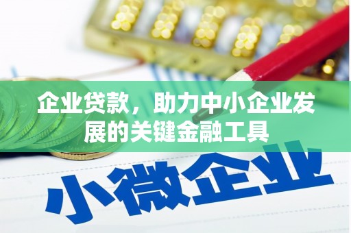 新园企业贷款，助力中小企业发展的关键金融工具