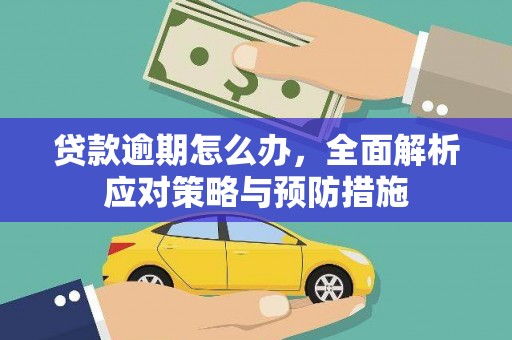 新园贷款逾期怎么办，全面解析应对策略与预防措施