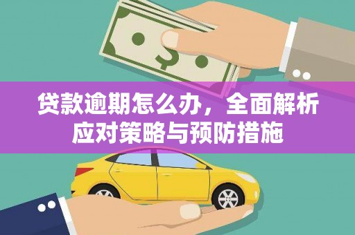 新园贷款逾期怎么办，全面解析应对策略与预防措施