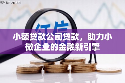 新园小额贷款公司贷款，助力小微企业的金融新引擎
