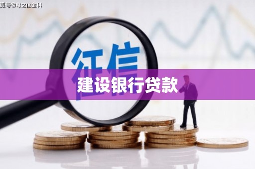 新园建设银行贷款