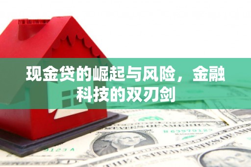 新园现金贷的崛起与风险，金融科技的双刃剑